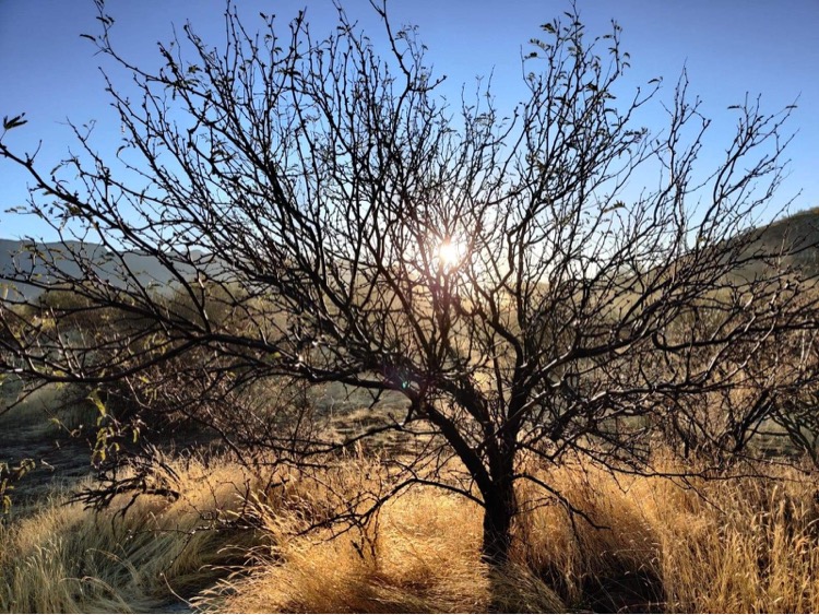 Discover the Natural Wonders of Legends of Superior Trails outdoor detail