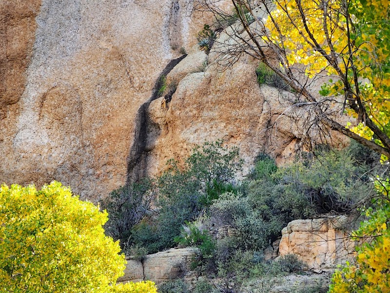 Discover the Natural Wonders of Legends of Superior Trails - Legends of Superior Trails