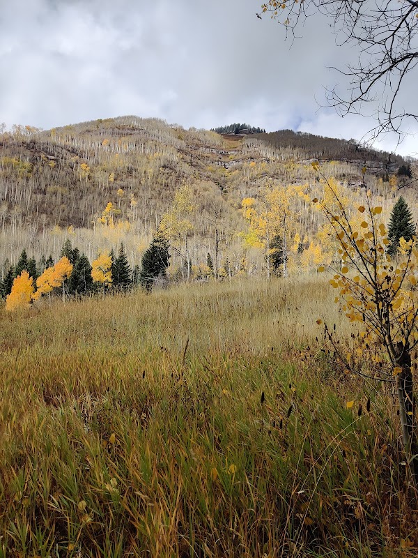 Discover Booth Falls: Nature's Treasure in Vail surrounding landscape