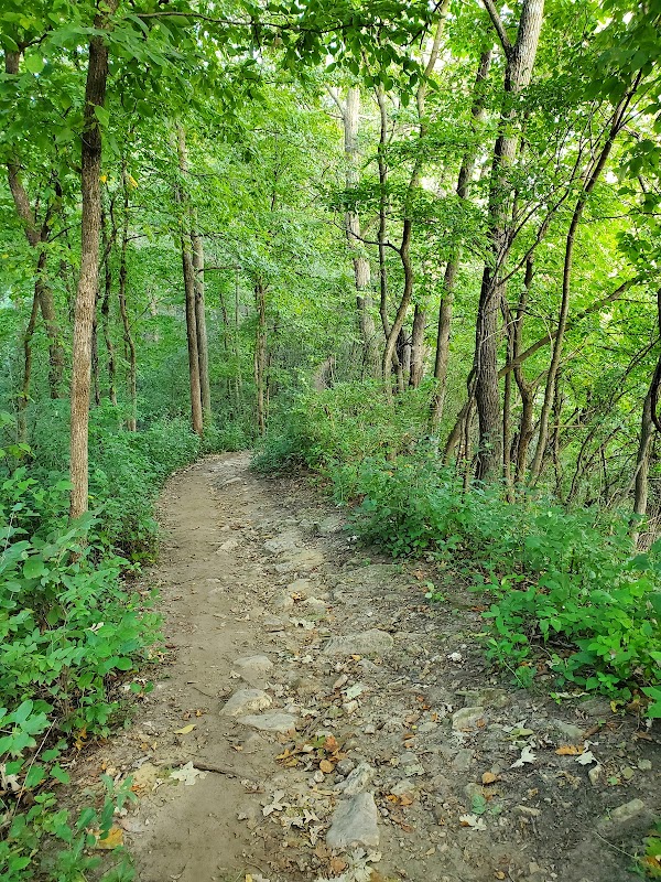 Majestic Views of Sugar Loaf Bluff, Winona surrounding landscape