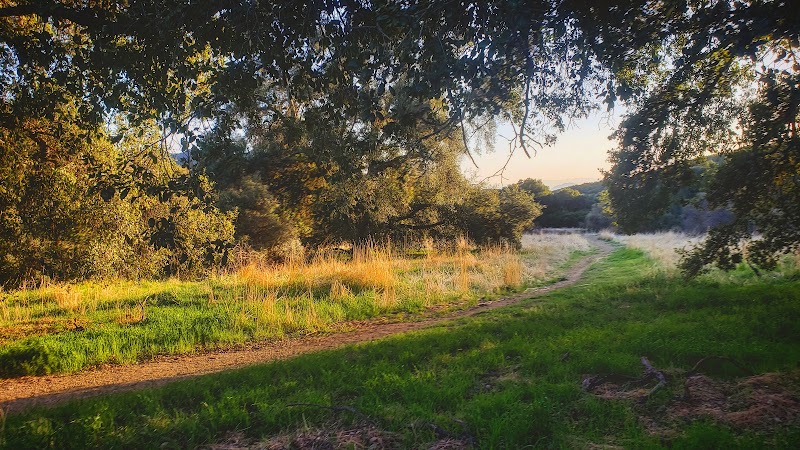 Discovering Wildwood Canyon: A Yucaipa Gem outdoor detail