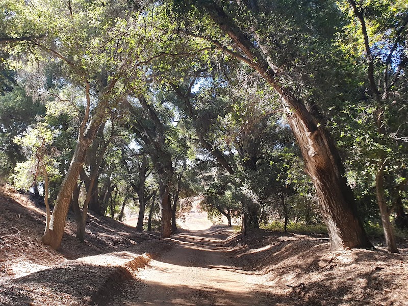 Discovering Wildwood Canyon: A Yucaipa Gem surrounding landscape