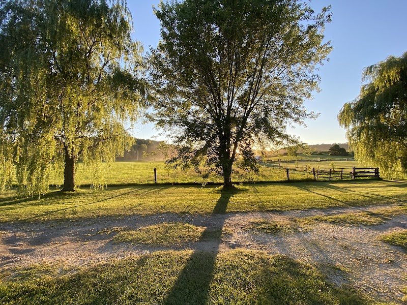 Sunrise Serenity at Hutchinson Family Farms surrounding landscape