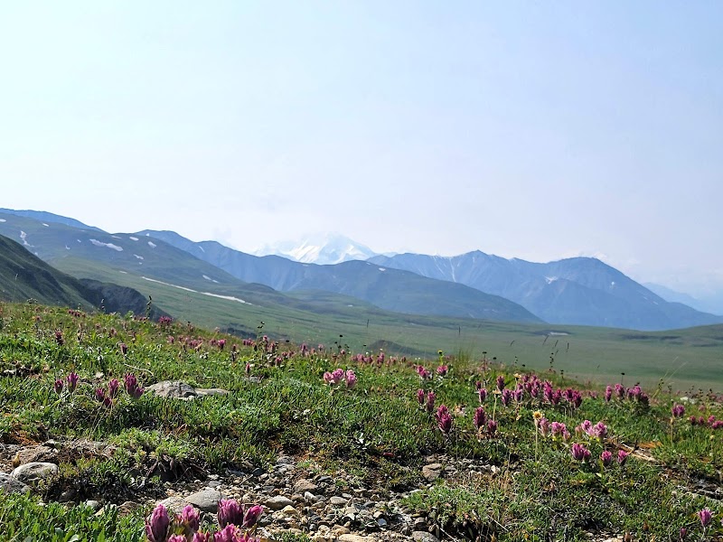 Rugged Beauty of Stony Hill Scenic Overlook - Stony Hill Scenic Overlook