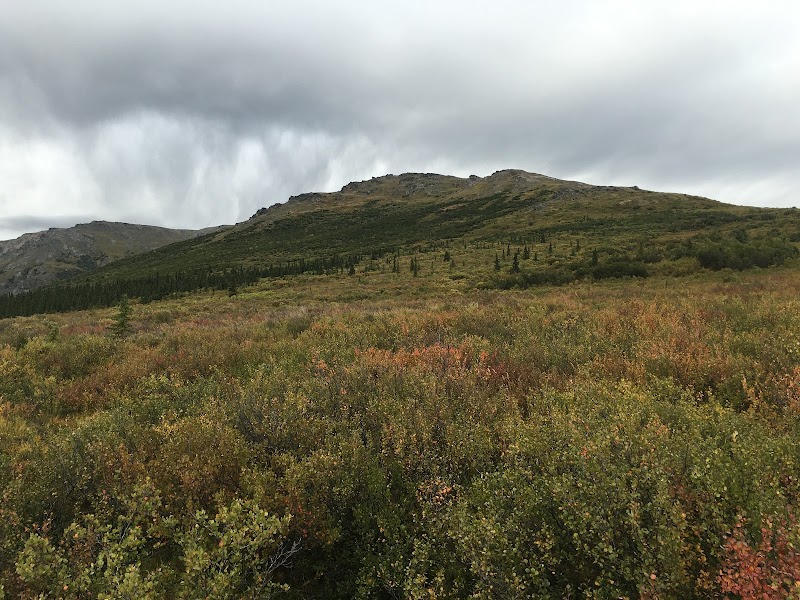 Majestic Beauty of Primrose Ridge - Primrose Ridge