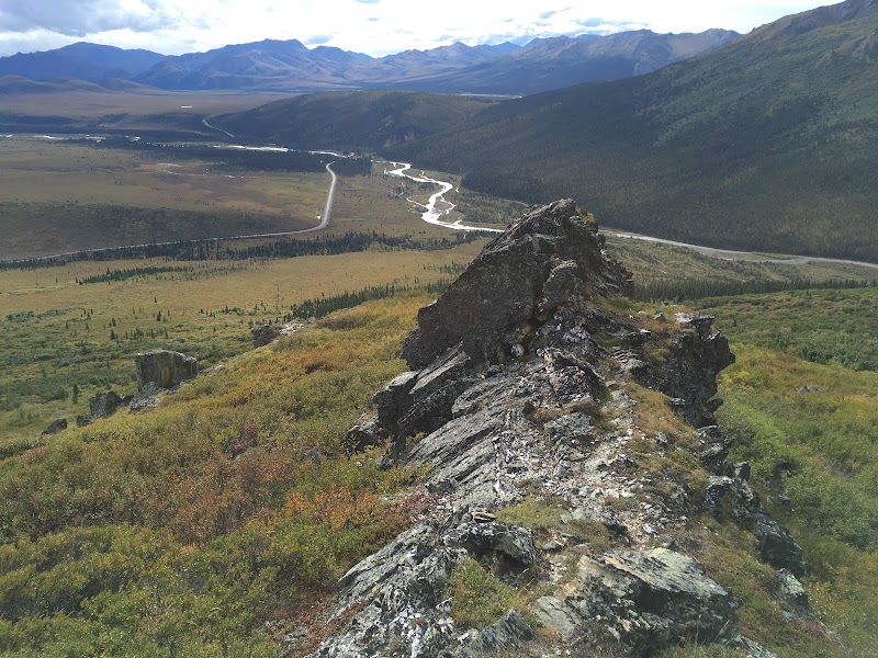 Majestic Beauty of Primrose Ridge - Primrose Ridge