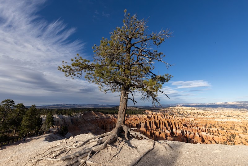 Marvel at the Hoodoos: Inspiration Point surrounding landscape