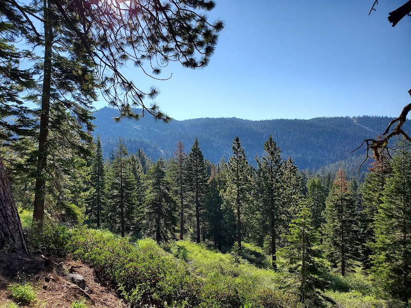 Scenic Trails at Incline Flume Trailhead - Incline Flume Trailhead
