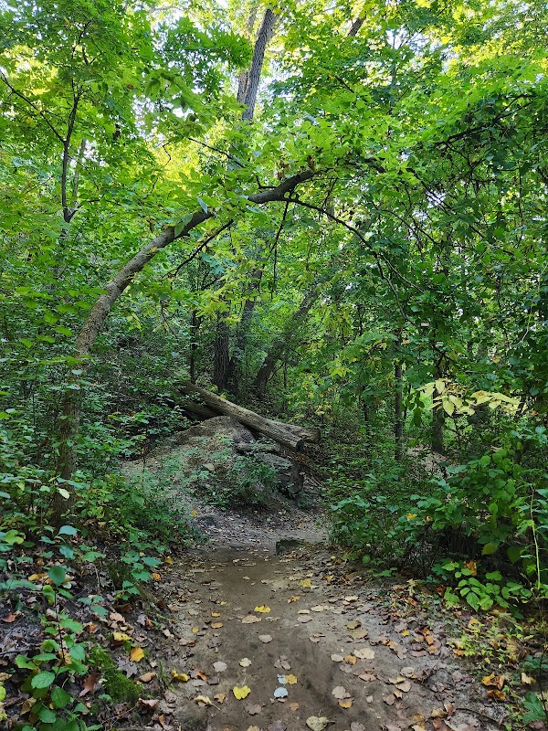 Climbing Sugarloaf in Winona, Minnesota outdoor detail