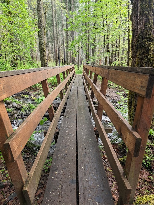 Hiking Through Cascade Locks outdoor detail