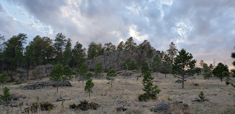 Whispers of the Black Hills - Black Hills National Forest