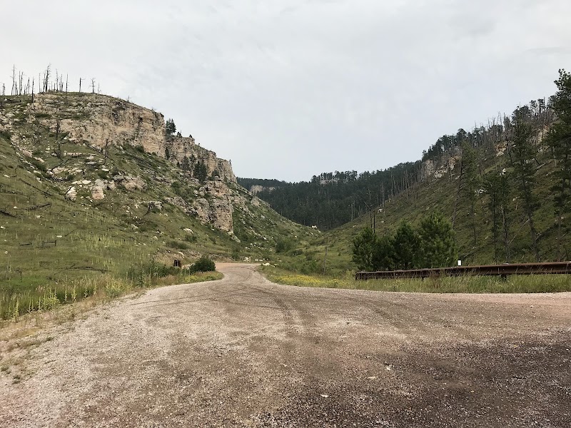 Whispers of the Black Hills - Black Hills National Forest