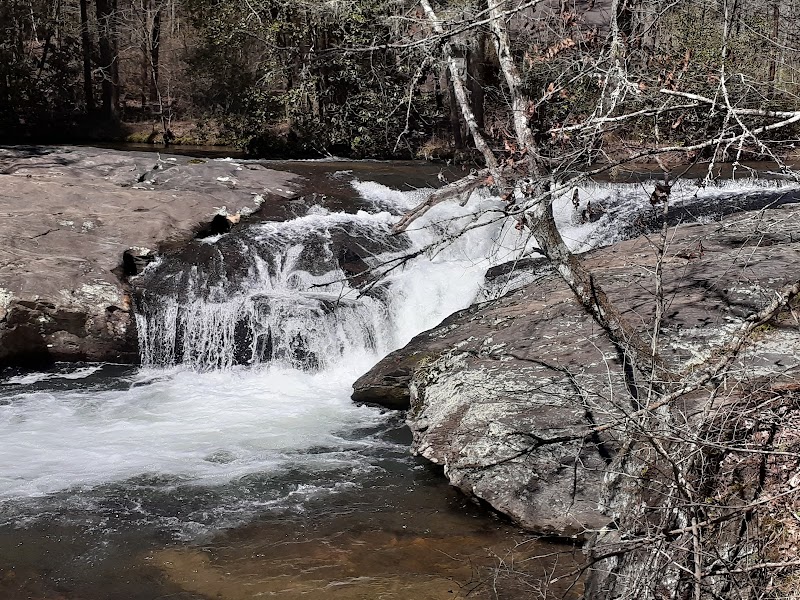 Discover the Tranquil Beauty of Water's Creek Falls surrounding landscape