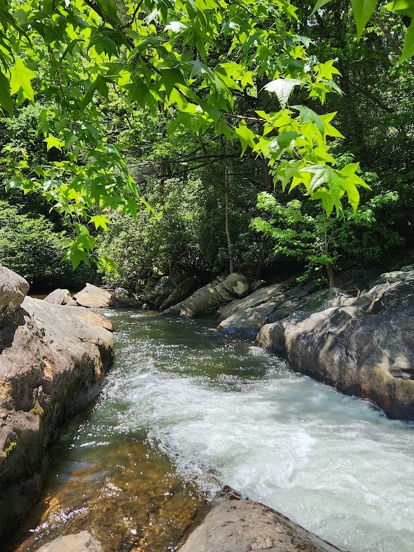 Discover the Tranquil Beauty of Water's Creek Falls - Water's Creek Falls