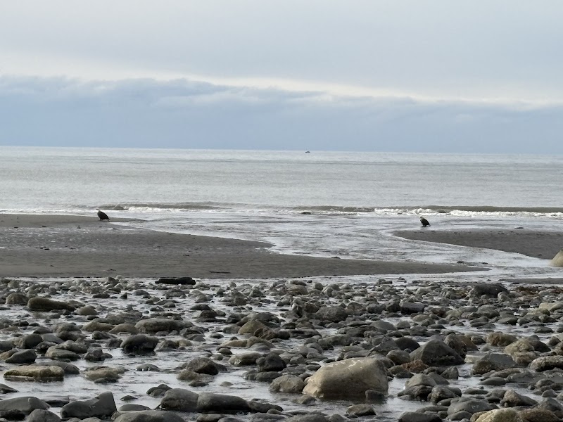 Diamond Creek Trailhead: Nature's Corner in Homer - Diamond Creek Trailhead