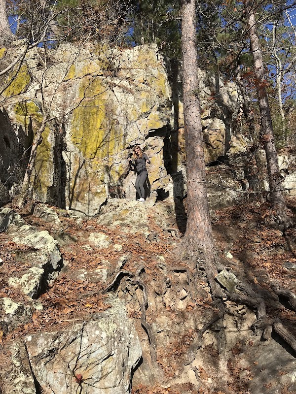Nature's Escape at Gulpha Gorge Trail surrounding landscape