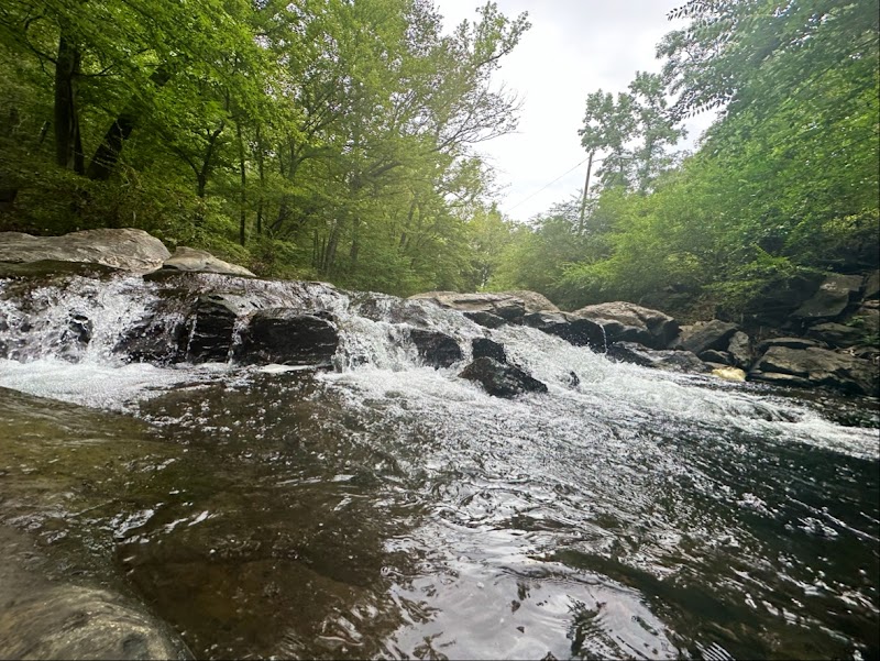 Trail Adventure at Hot Springs Creek Greenway Trail - Hot Springs Creek Greenway Trail