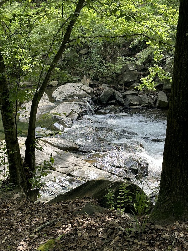 Trail Adventure at Hot Springs Creek Greenway Trail - Hot Springs Creek Greenway Trail