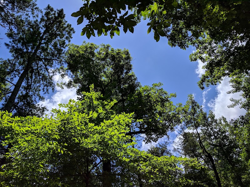 Scenic Retreat at Cedar Creek Trail surrounding landscape