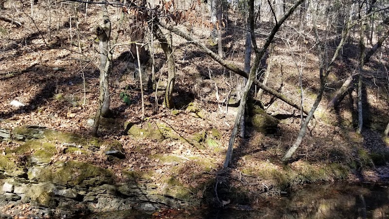 Scenic Retreat at Cedar Creek Trail outdoor detail