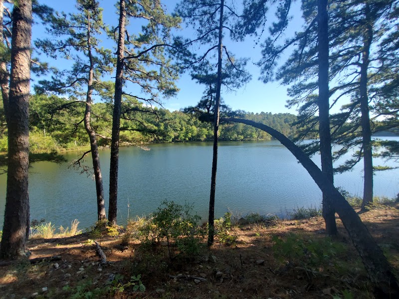 Northwoods Trails: Nature's Playground outdoor detail