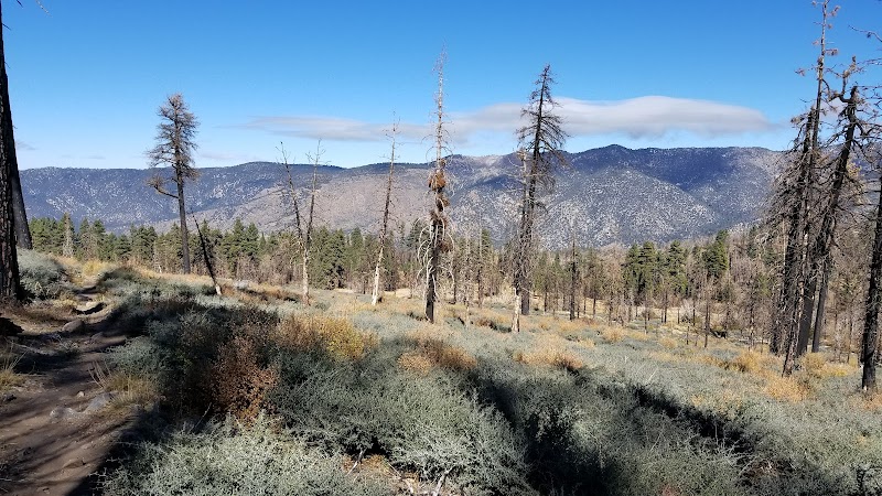 Scenic Trails: South Fork Trail 1E04 - South Fork Trail 1E04