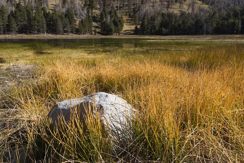 Scenic Trails: South Fork Trail 1E04 - South Fork Trail 1E04
