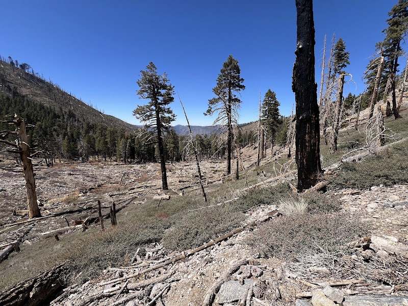 Scenic Trails: South Fork Trail 1E04 surrounding landscape