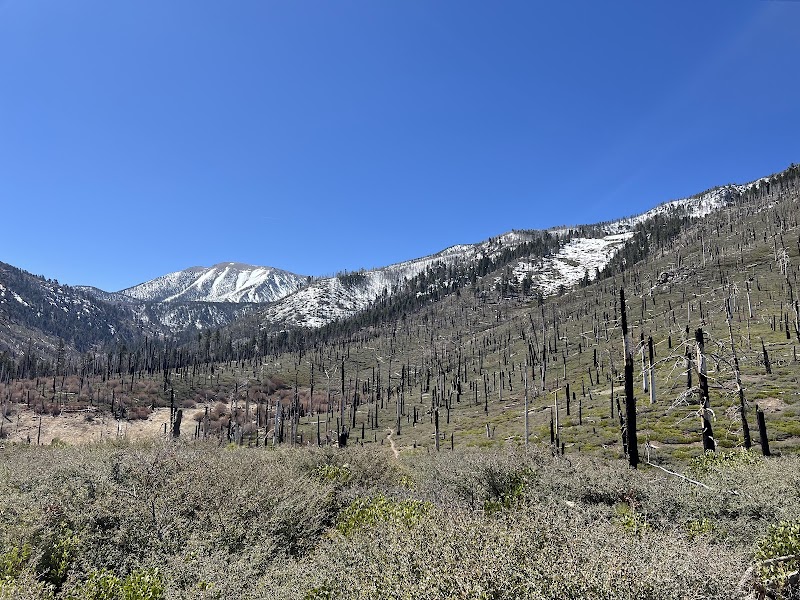 Scenic Trails: South Fork Trail 1E04 outdoor detail