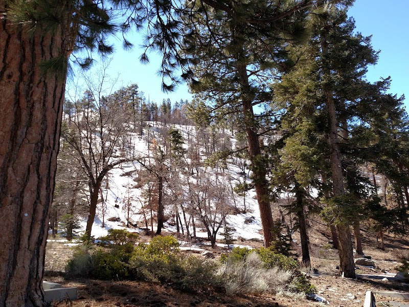 Scenic Trails: South Fork Trail 1E04 - South Fork Trail 1E04