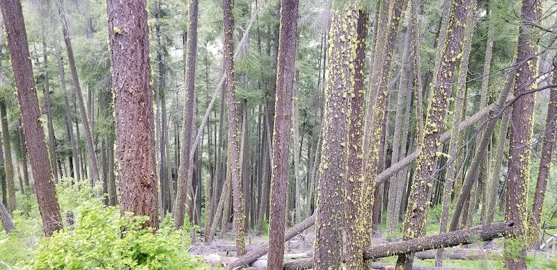Trail Adventures at Freund Canyon surrounding landscape