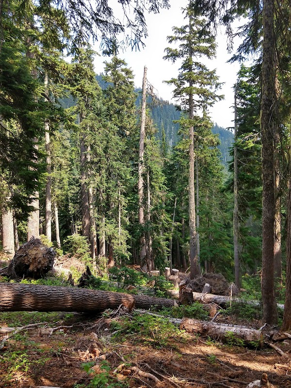 Discover the Magic of Smithbrook Trailhead - Smithbrook Trailhead