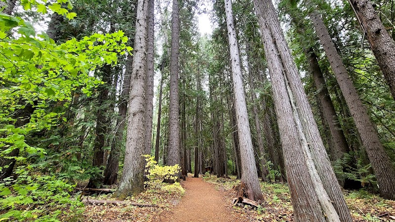 Tranquil Escape: Hidden Lake Trailhead surrounding landscape