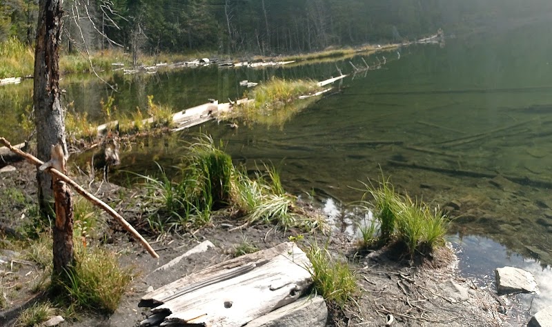 Tranquil Escape: Hidden Lake Trailhead outdoor detail