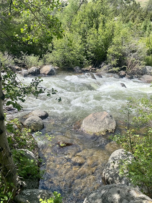 Discover the Wilderness: North Slope Trail - North Slope Trail