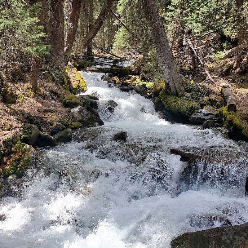 Serenity at Willis Gulch Trailhead - Willis Gulch Trailhead