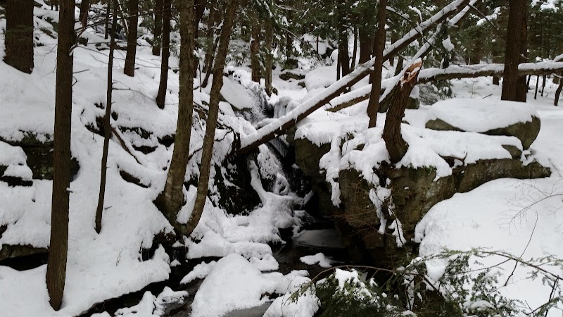 The Natural Beauty of Abbey Pond Trailhead - Abbey Pond Trailhead