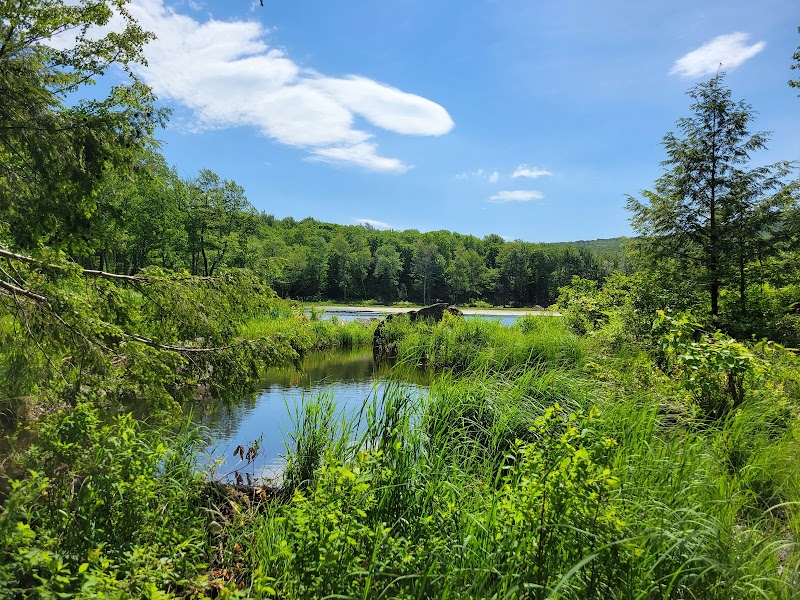 The Natural Beauty of Abbey Pond Trailhead - Abbey Pond Trailhead