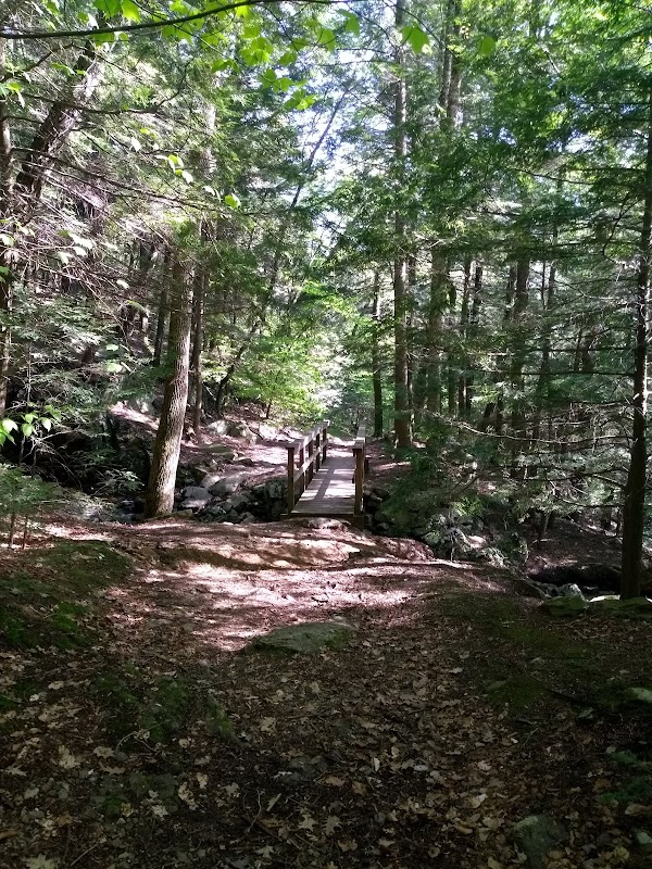 The Natural Beauty of Abbey Pond Trailhead surrounding landscape