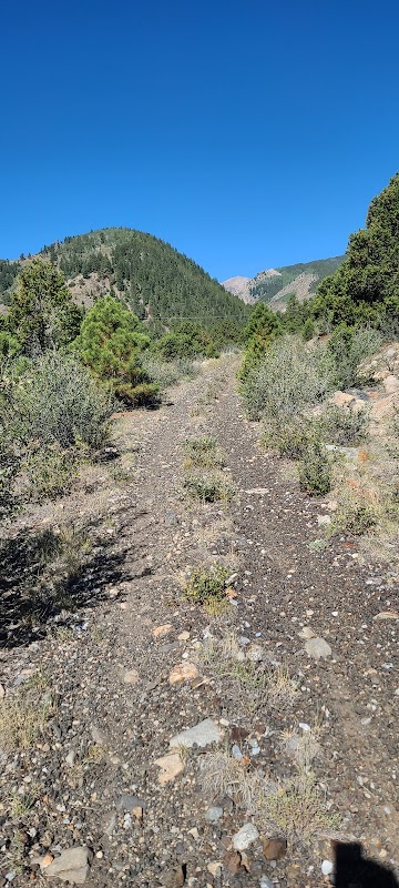 Nature's Pathway: Colorado Trail Trailhead surrounding landscape