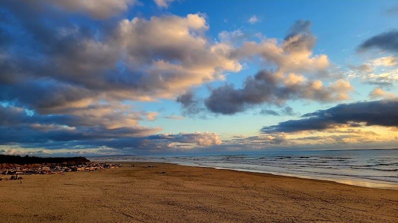 Tranquil Shores of Ziolkouski Beach Park - Ziolkouski Beach Park