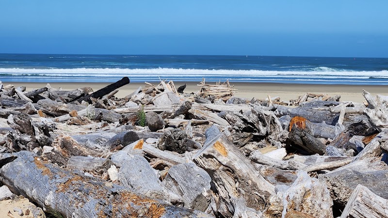 Tranquil Shores of Ziolkouski Beach Park - Ziolkouski Beach Park