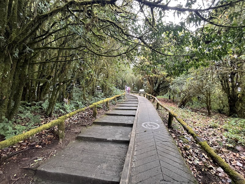 Peaks of Adventure: Doi Inthanon - Doi Inthanon Peak