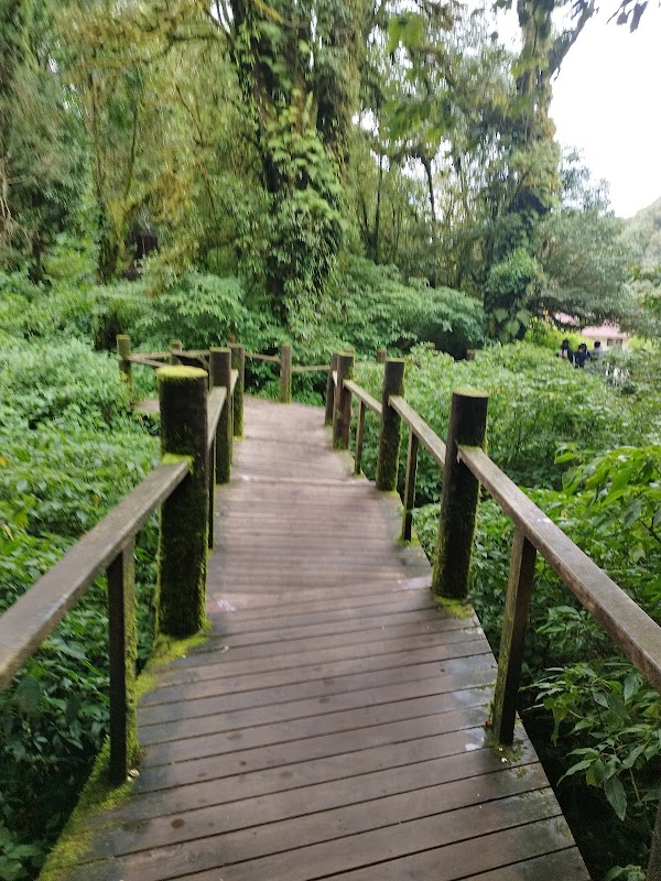 Immerse in Tranquility at Yod Doi Nature Trail - Yod Doi Nature Trail