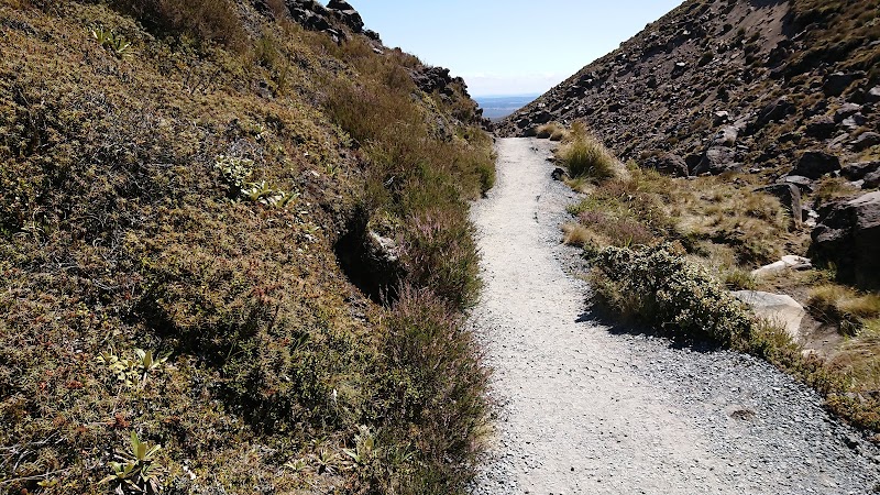 Spectacular Journeys at Tongariro Alpine Crossing surrounding landscape