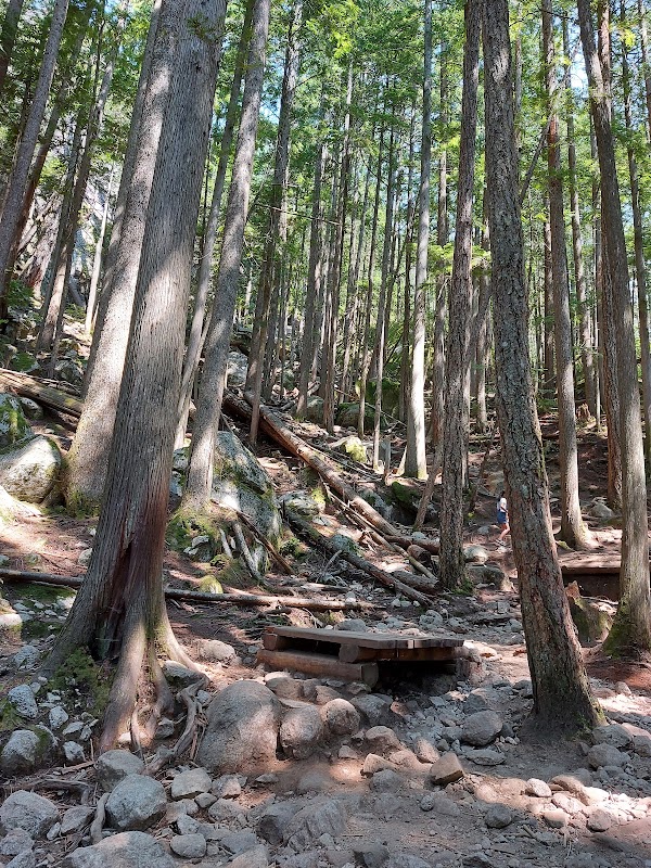Hiking the Stawamus Chief Trail: A Granite Marvel in British Columbia outdoor detail