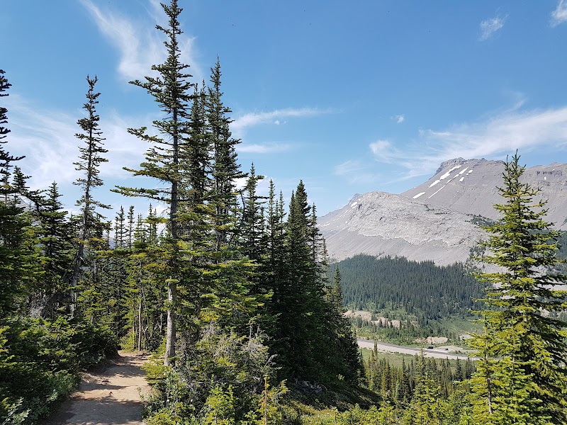 Majestic View from Parker Ridge - Parker Ridge