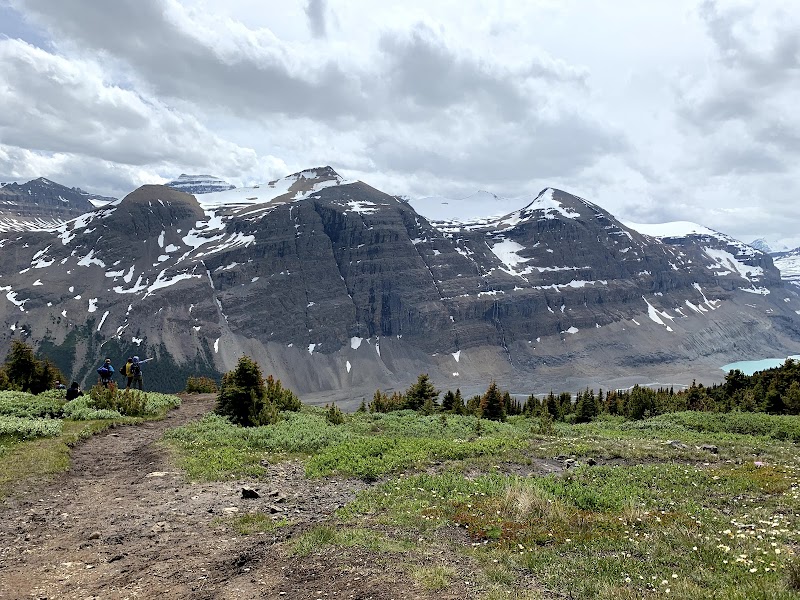 Majestic View from Parker Ridge - Parker Ridge