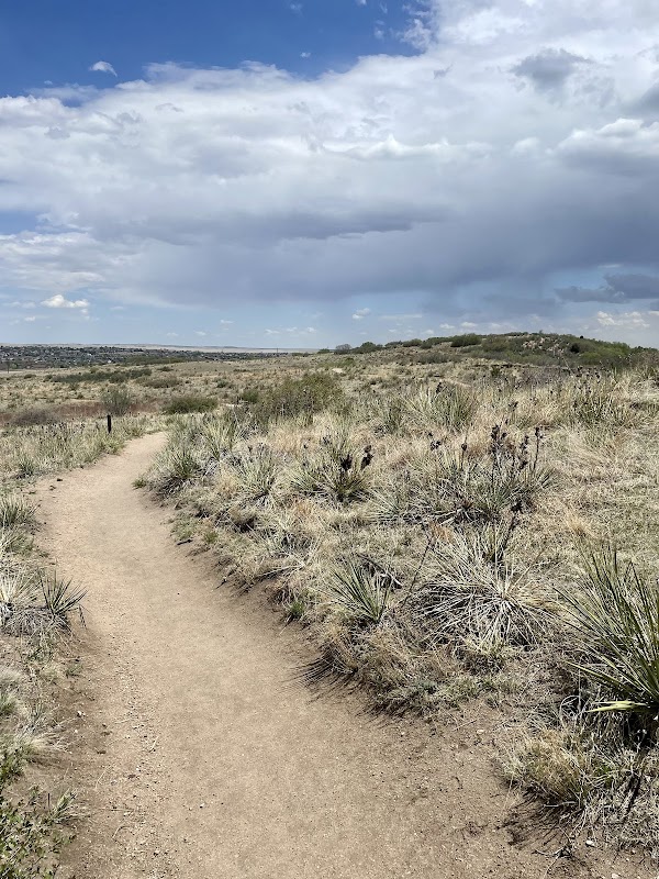 Nature's Beauty: High Chaparral Open Space - High Chaparral Open Space Parking Lot & Trailhead