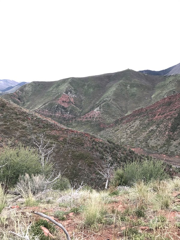 Hiking on Storm King Mountain: Colorado's Dramatic Cliffs outdoor detail